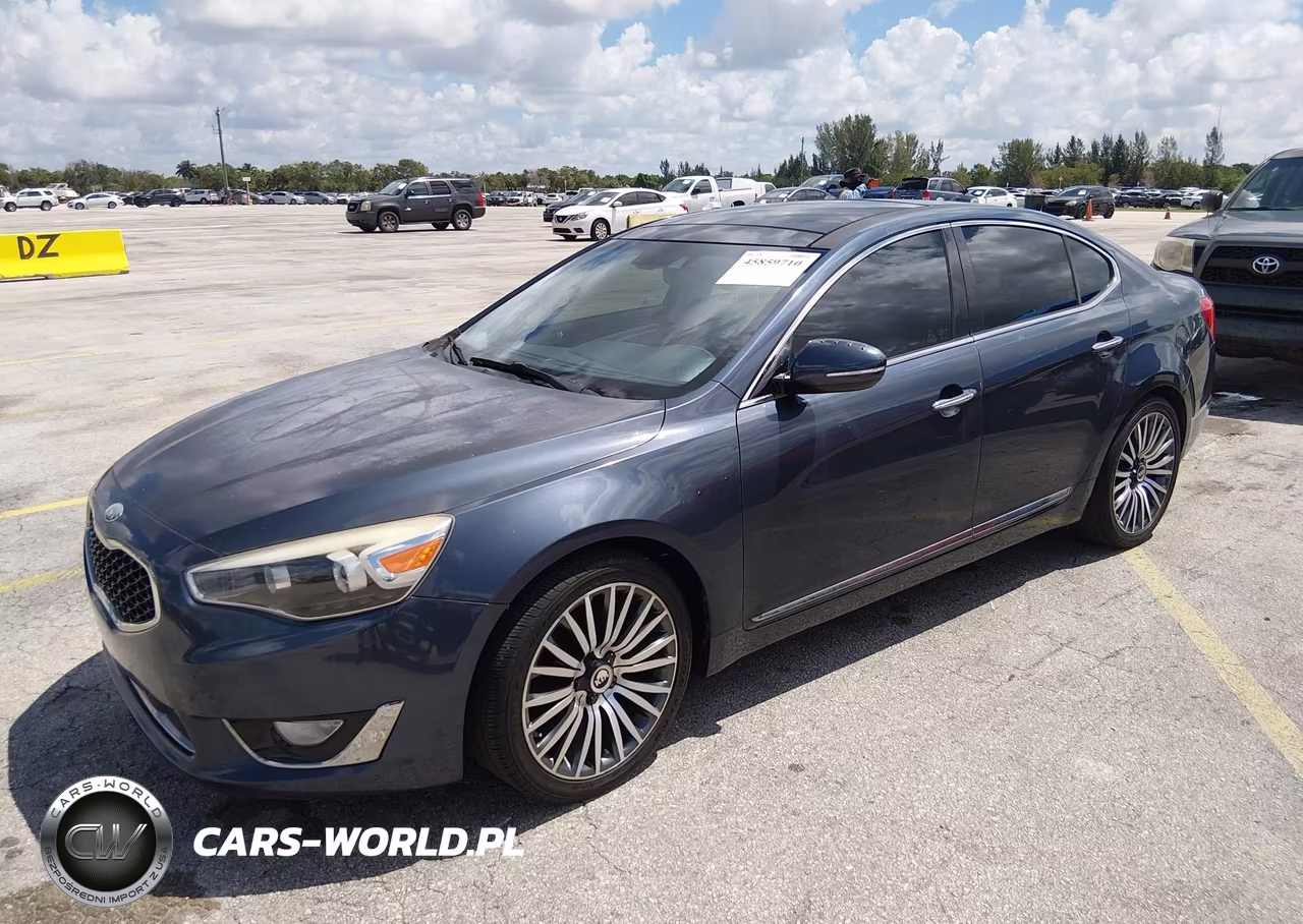 2014 Kia Cadenza Premium VIN:KNALN4D73E5135445 - 2