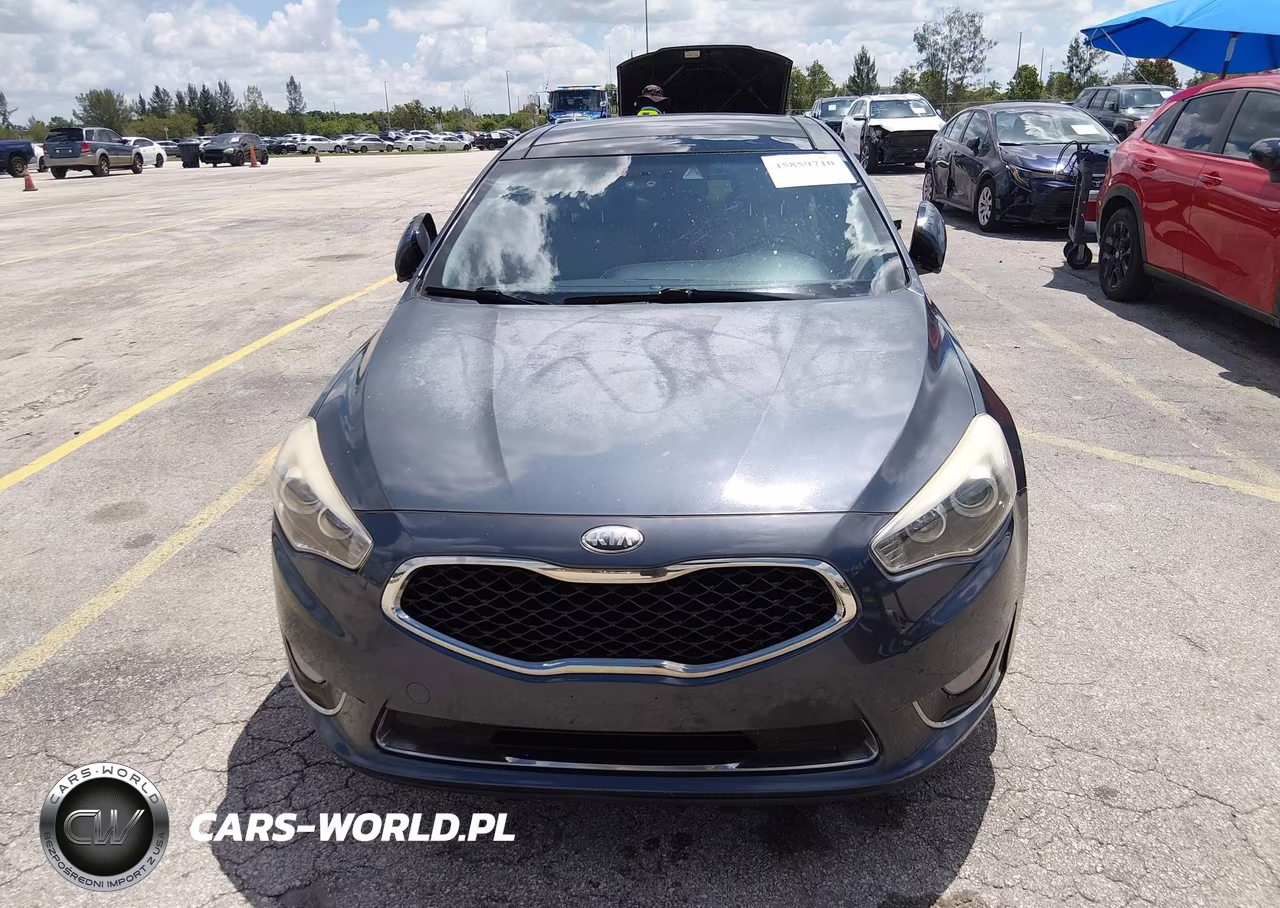 2014 Kia Cadenza Premium VIN:KNALN4D73E5135445 - 6