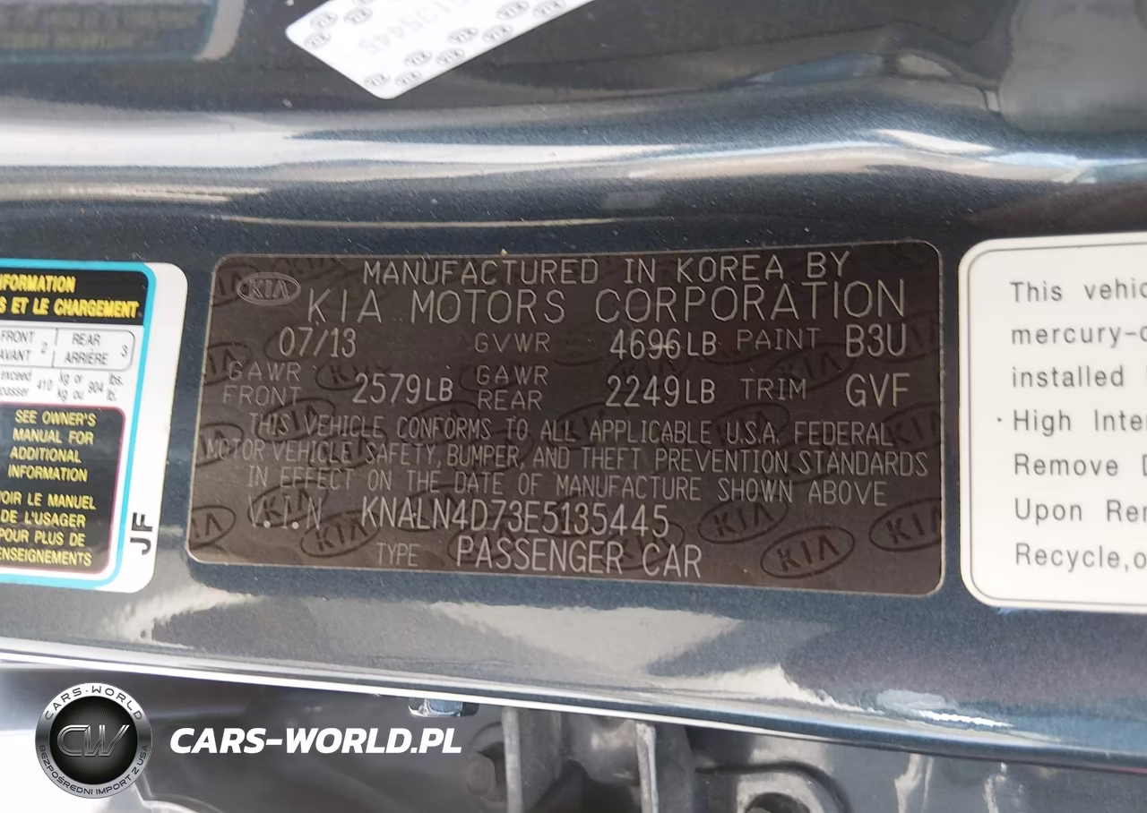 2014 Kia Cadenza Premium VIN:KNALN4D73E5135445 - 9