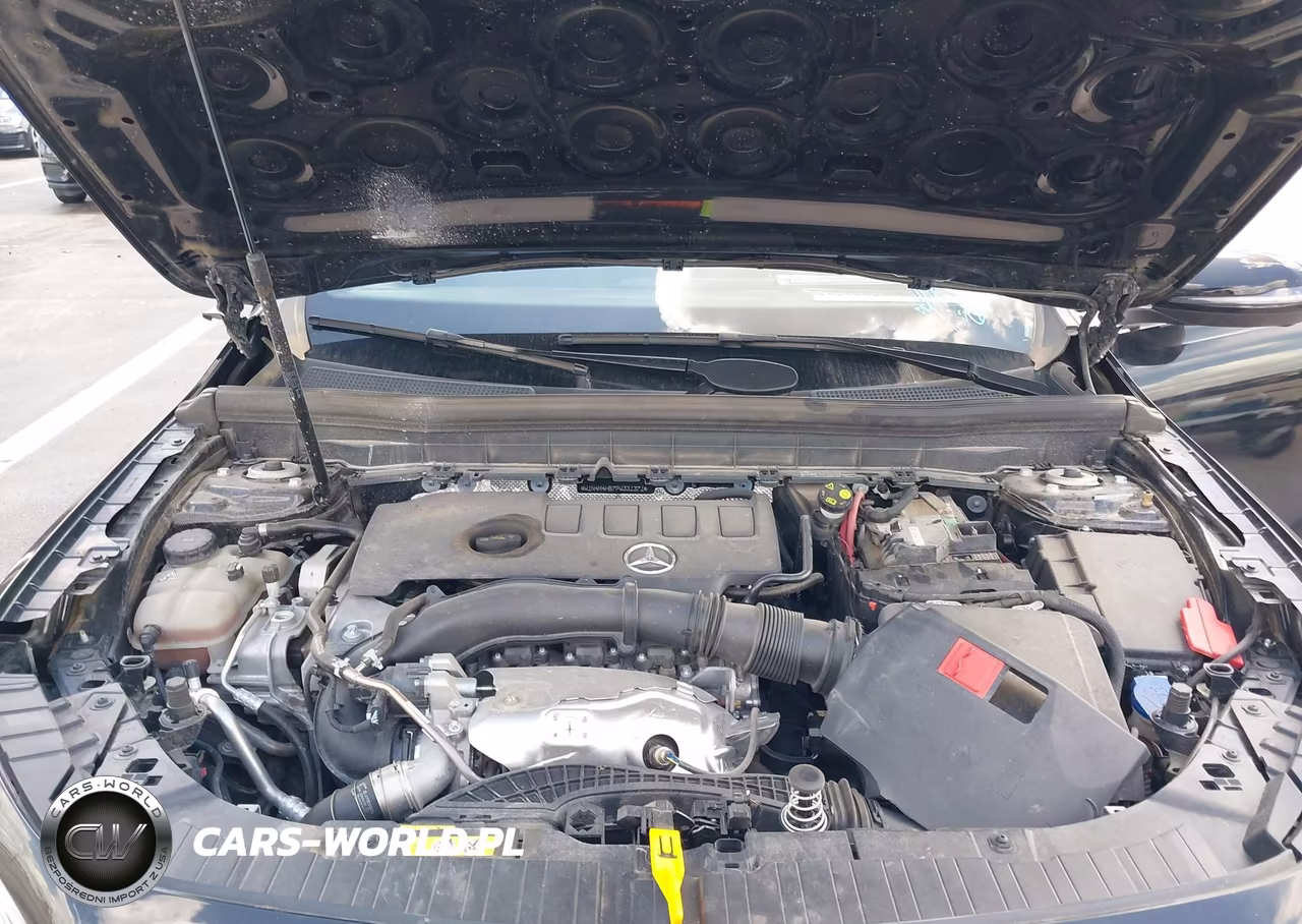 2023 Mercedes-Benz Glb 250 4Matic VIN:W1N4M4HB7PW331371 - 10