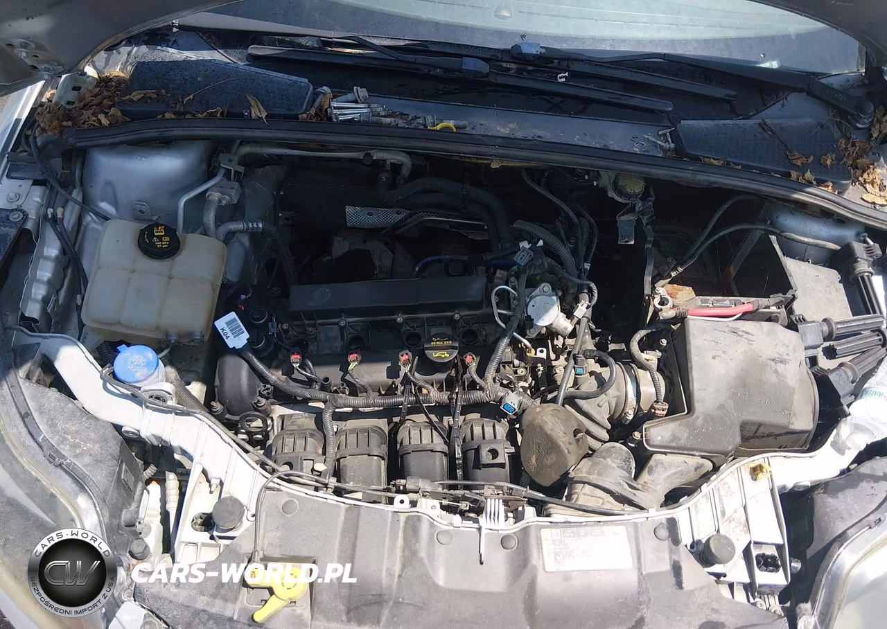 2014 Ford Focus Titanium VIN:1FADP3N23EL298080 - 10