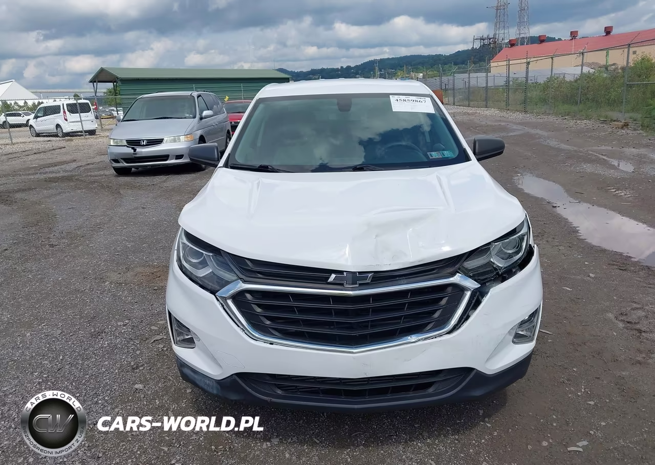 2019 Chevrolet Equinox Ls VIN:3GNAXSEV8KS663125 - 12