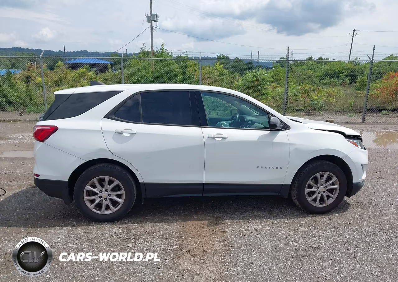 2019 Chevrolet Equinox Ls VIN:3GNAXSEV8KS663125 - 13
