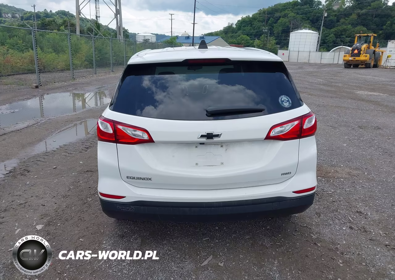 2019 Chevrolet Equinox Ls VIN:3GNAXSEV8KS663125 - 16
