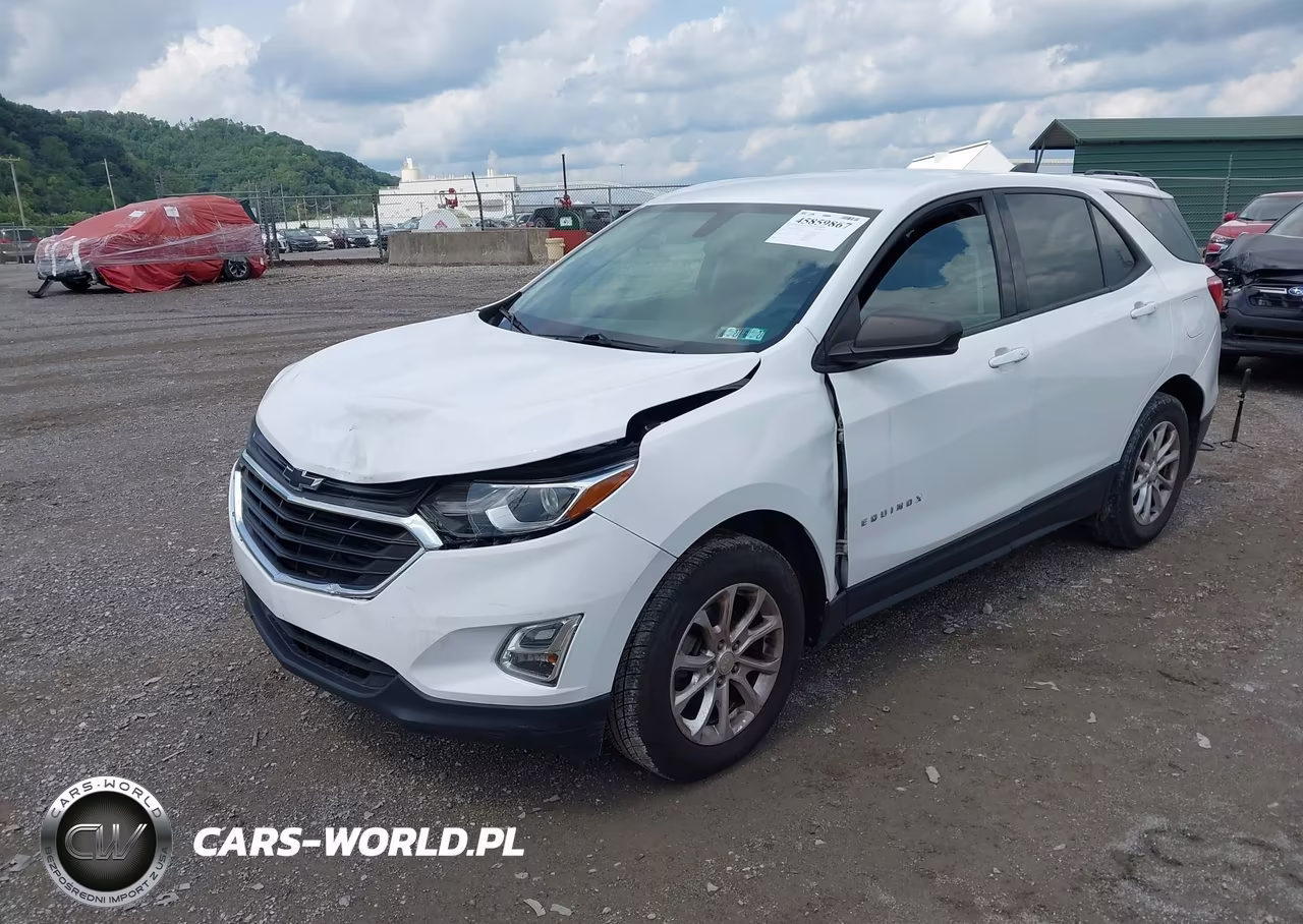 2019 Chevrolet Equinox Ls VIN:3GNAXSEV8KS663125 - 2