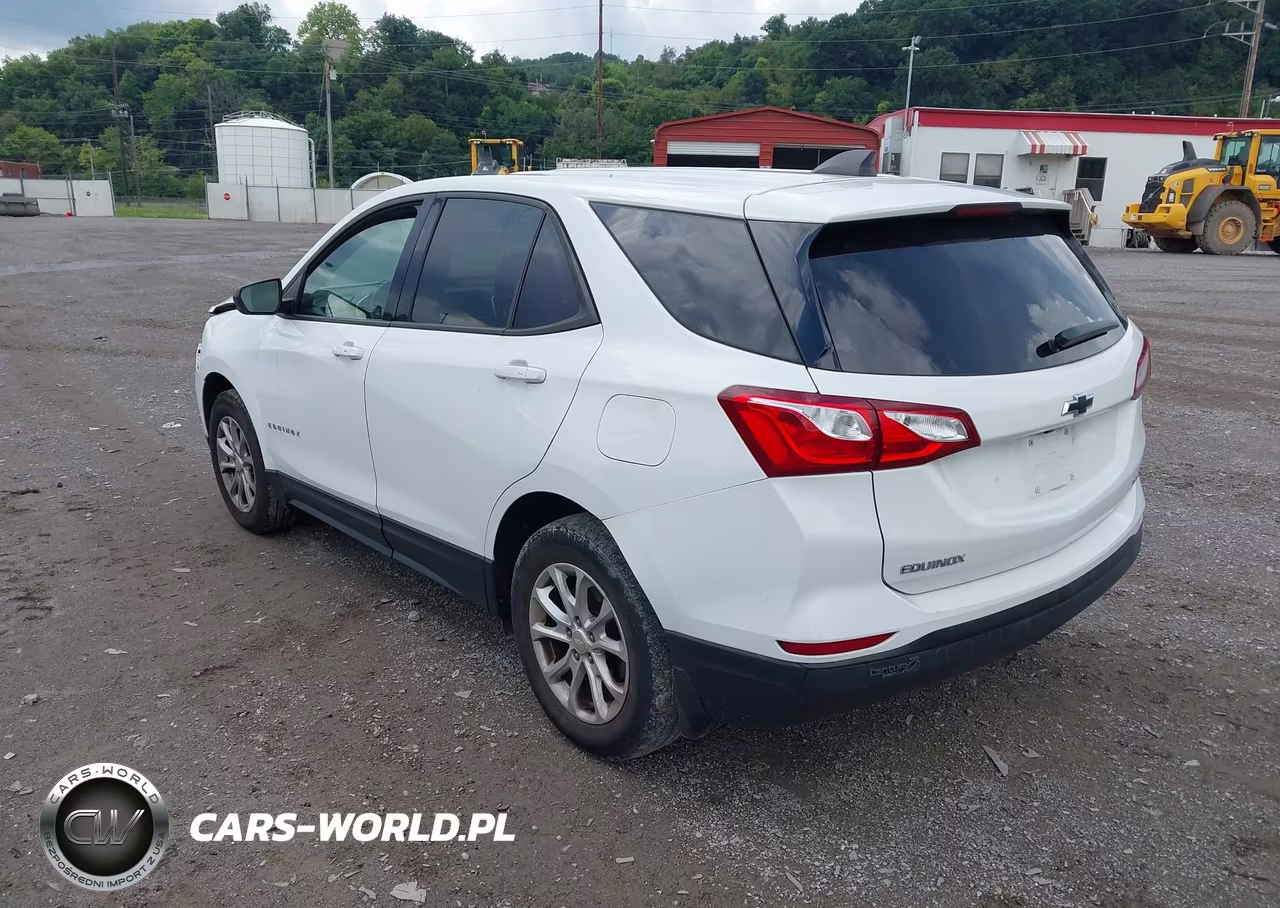 2019 Chevrolet Equinox Ls VIN:3GNAXSEV8KS663125 - 3
