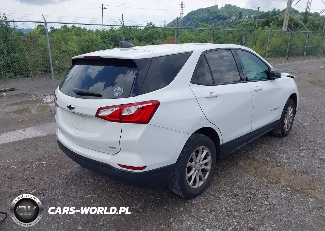 2019 Chevrolet Equinox Ls VIN:3GNAXSEV8KS663125 - 4