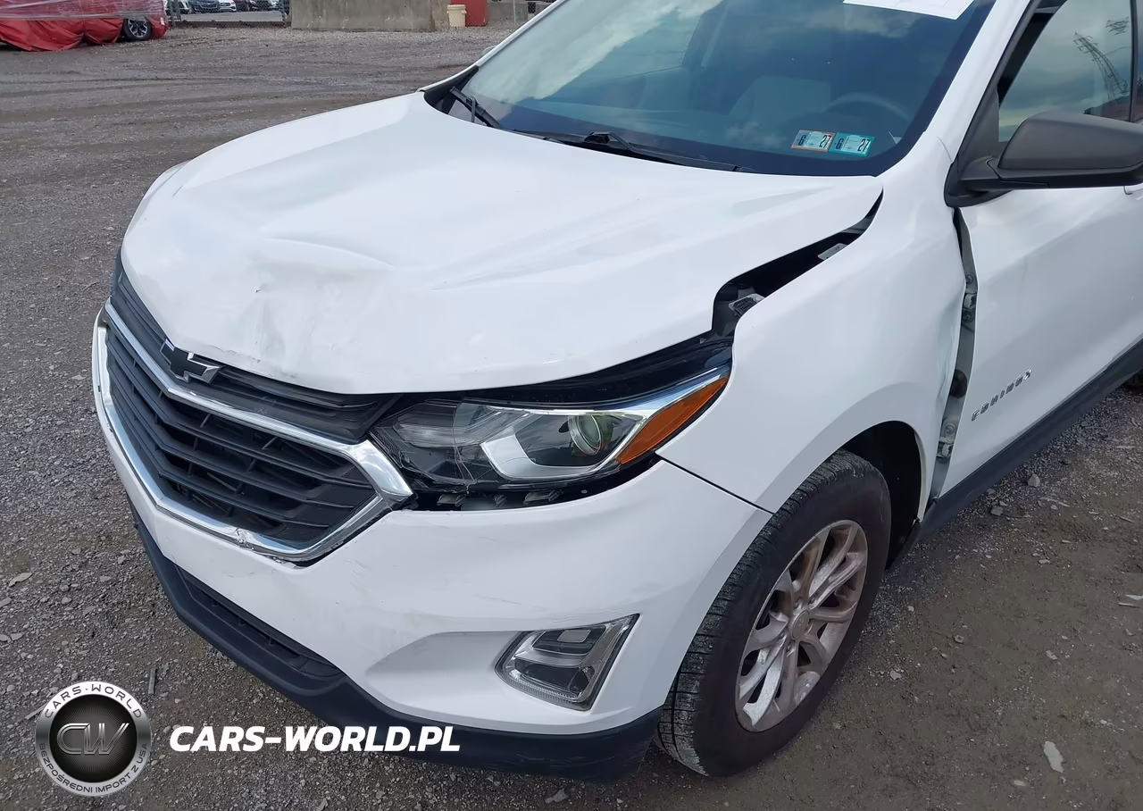 2019 Chevrolet Equinox Ls VIN:3GNAXSEV8KS663125 - 6