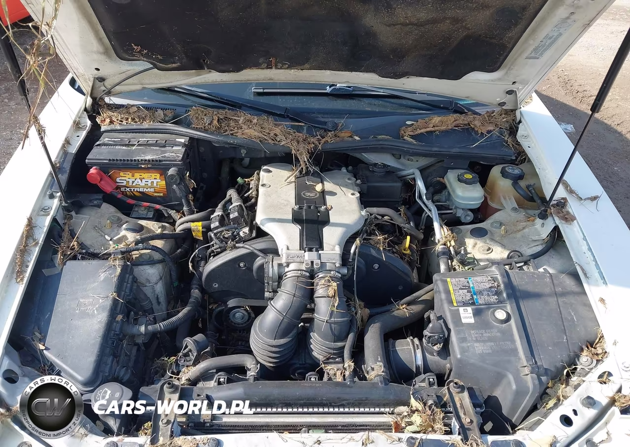2003 Cadillac Cts Standard VIN:1G6DM57N930123209 - 10