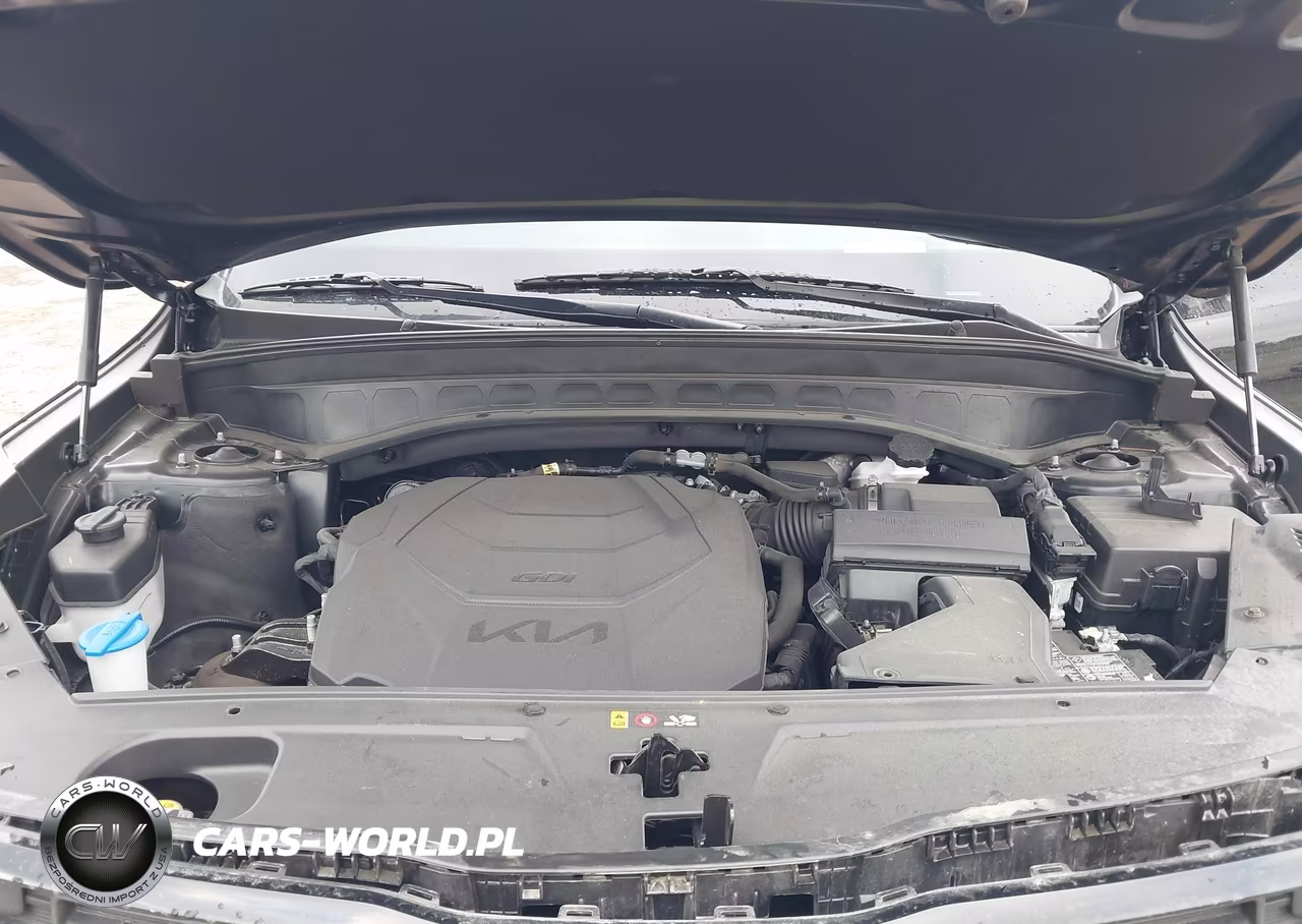 2022 Kia Telluride Sx VIN:5XYP5DHC3NG300011 - 10