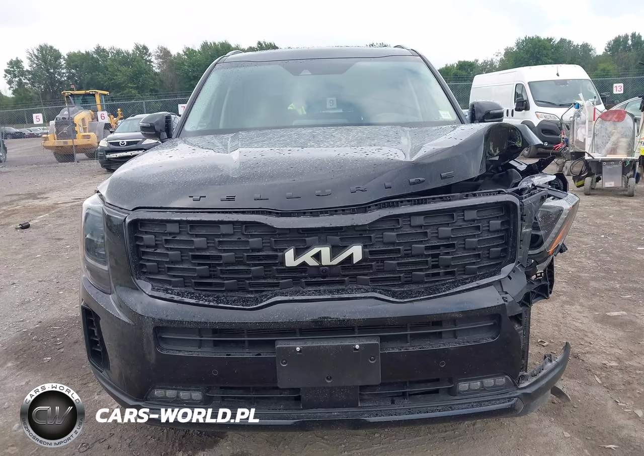 2022 Kia Telluride Sx VIN:5XYP5DHC3NG300011 - 13