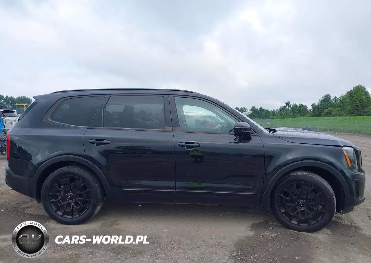 2022 Kia Telluride Sx VIN:5XYP5DHC3NG300011 - 14