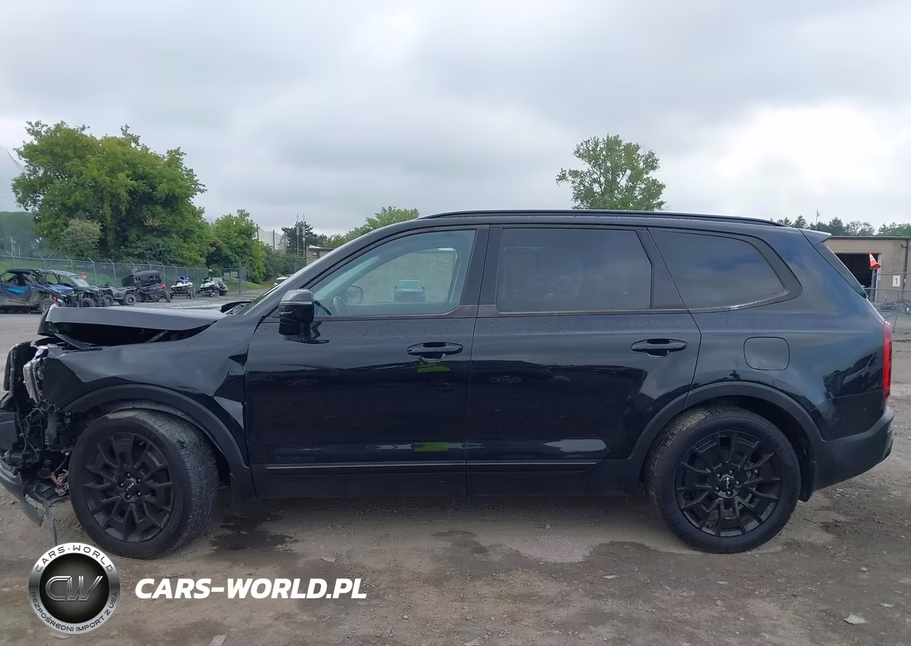 2022 Kia Telluride Sx VIN:5XYP5DHC3NG300011 - 15