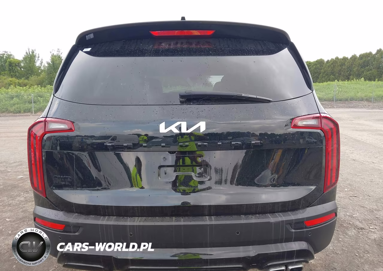 2022 Kia Telluride Sx VIN:5XYP5DHC3NG300011 - 17