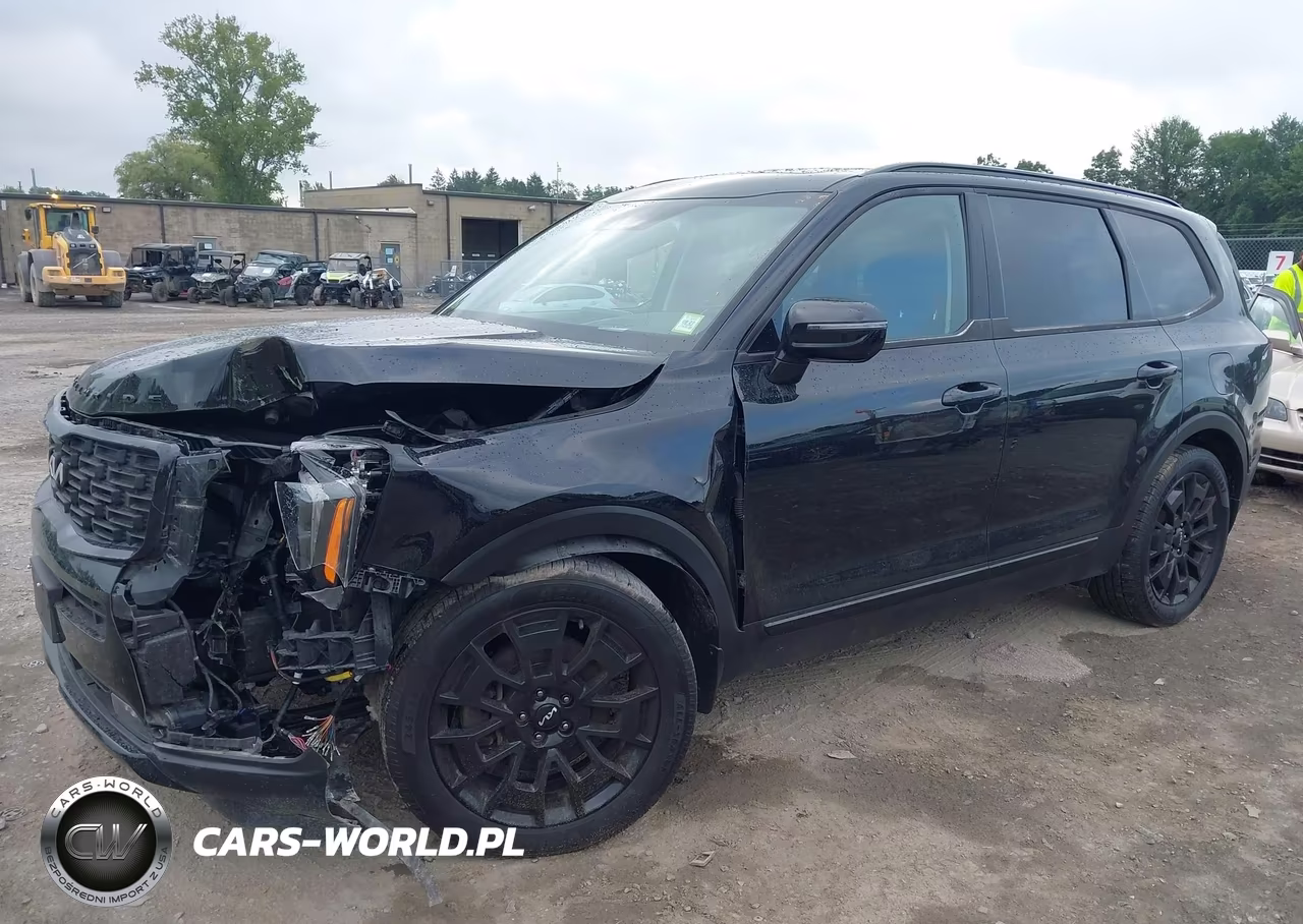 2022 Kia Telluride Sx VIN:5XYP5DHC3NG300011 - 2