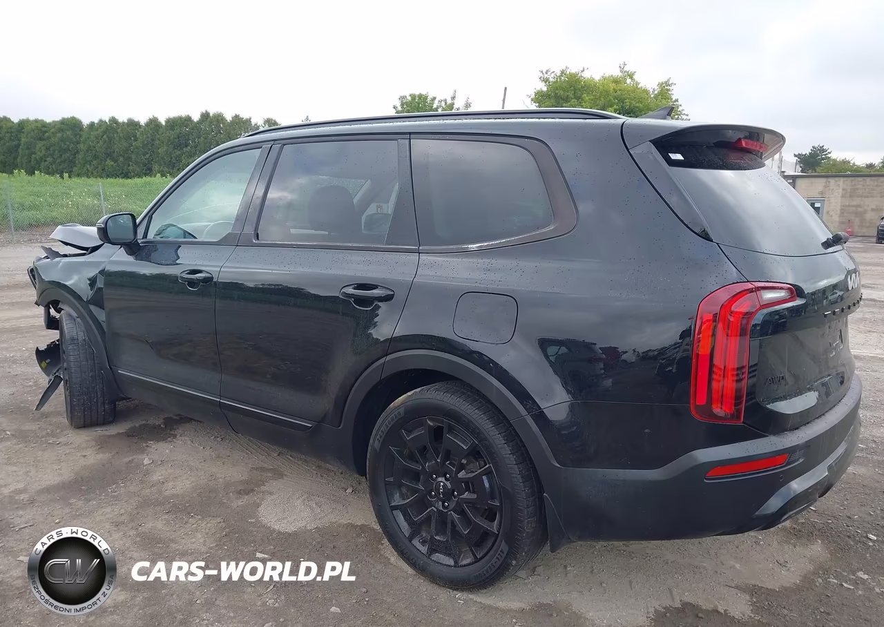2022 Kia Telluride Sx VIN:5XYP5DHC3NG300011 - 3