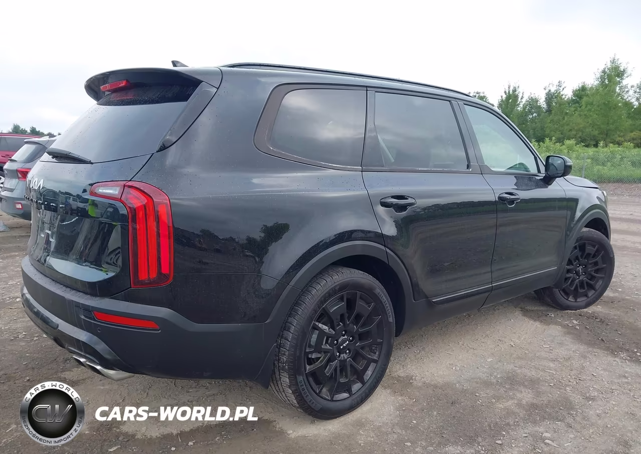2022 Kia Telluride Sx VIN:5XYP5DHC3NG300011 - 4