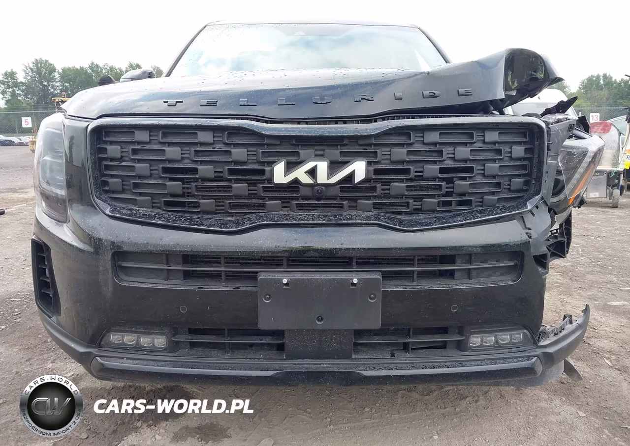 2022 Kia Telluride Sx VIN:5XYP5DHC3NG300011 - 6
