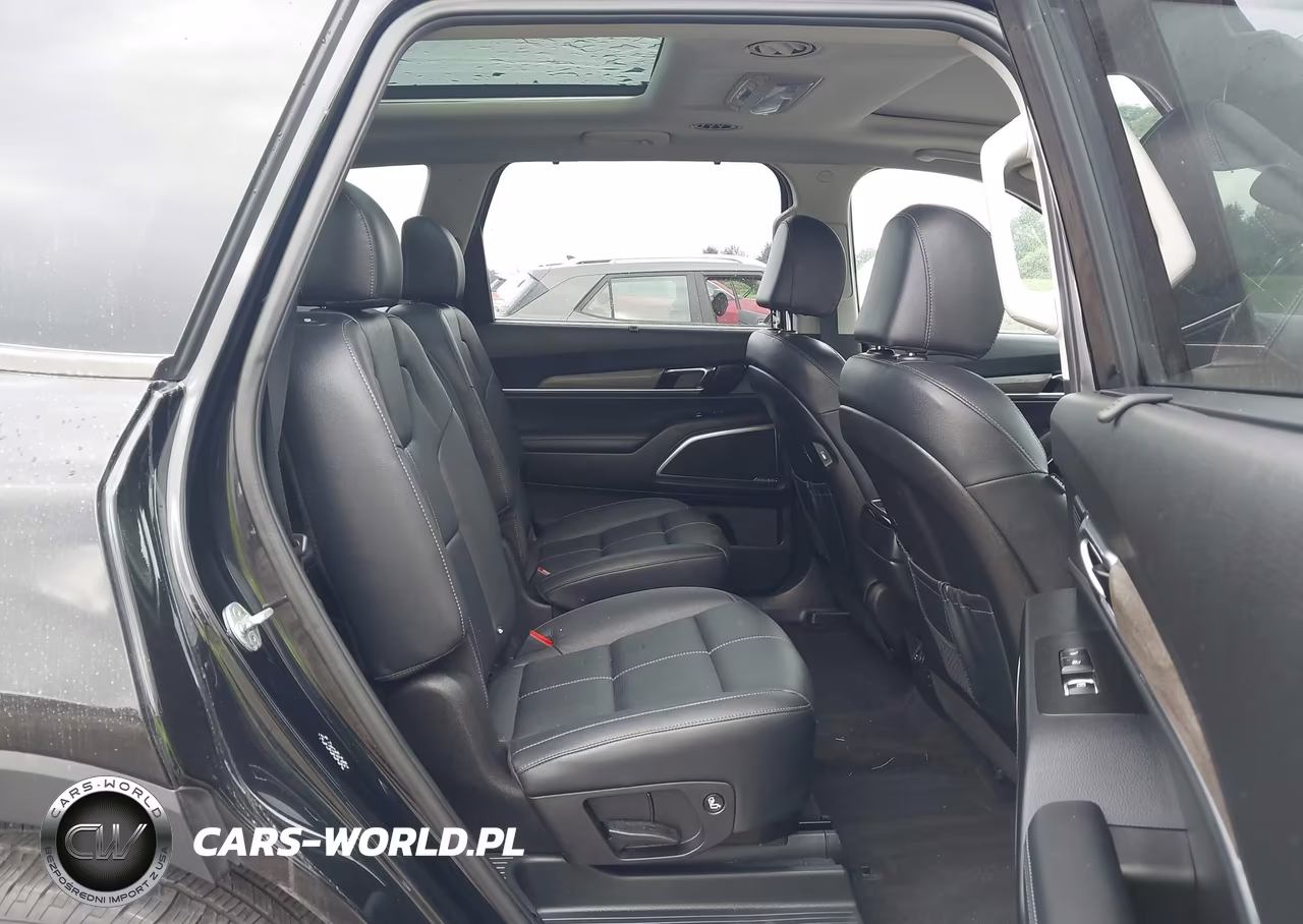 2022 Kia Telluride Sx VIN:5XYP5DHC3NG300011 - 8