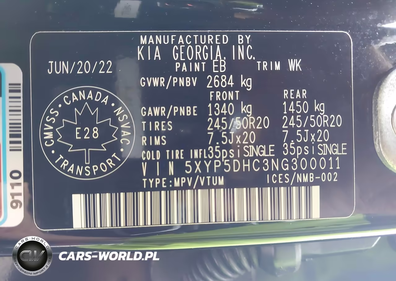 2022 Kia Telluride Sx VIN:5XYP5DHC3NG300011 - 9