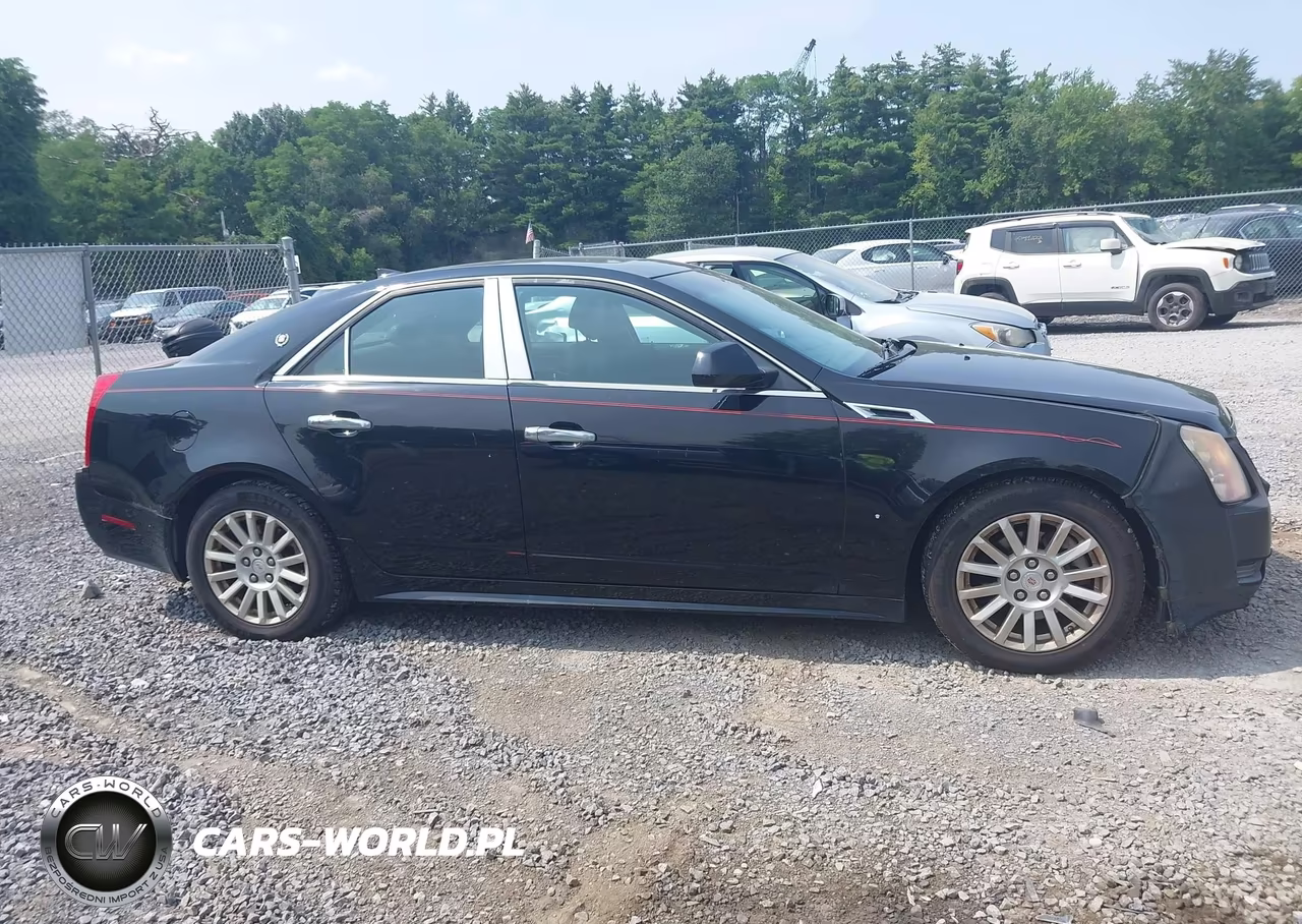2010 Cadillac Cts Luxury VIN:1G6DG5EG4A0128830 - 13