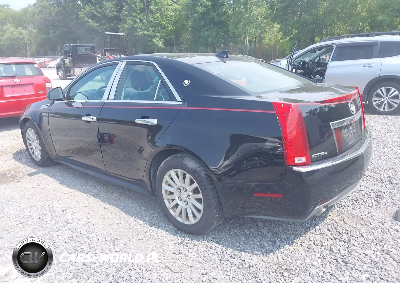 2010 Cadillac Cts Luxury VIN:1G6DG5EG4A0128830 - 3