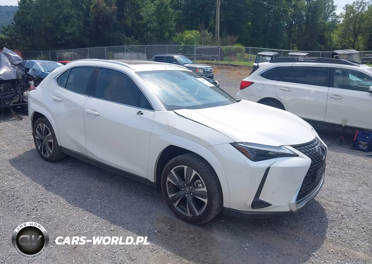 2024 Lexus Ux 250H Premium