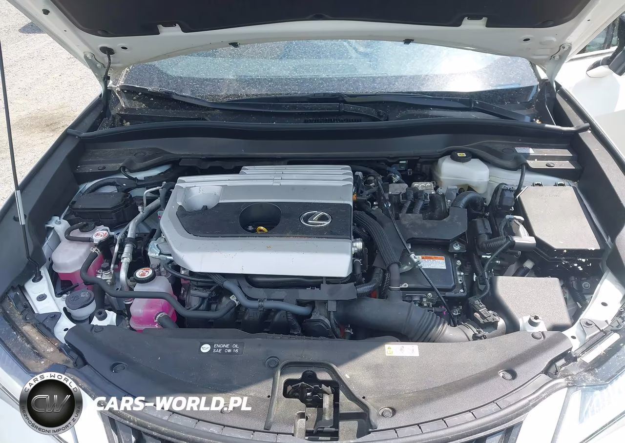 2024 Lexus Ux 250H Premium VIN:JTHP9JBH2R2080074 - 10