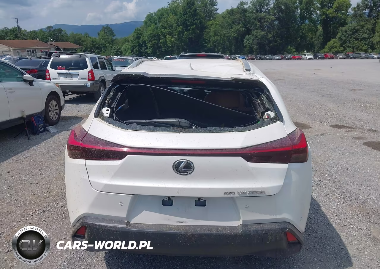 2024 Lexus Ux 250H Premium VIN:JTHP9JBH2R2080074 - 17