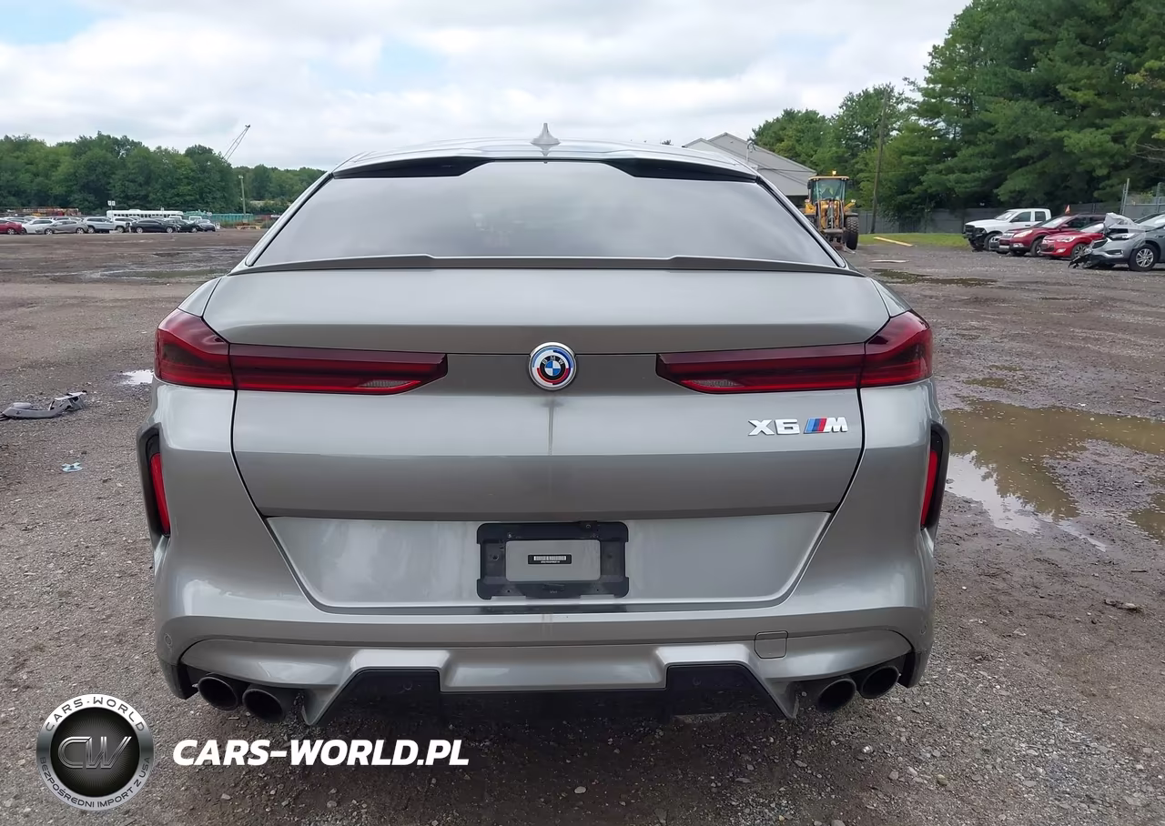 2023 BMW X6 M VIN:5YMCY0C03P9R36144 - 16