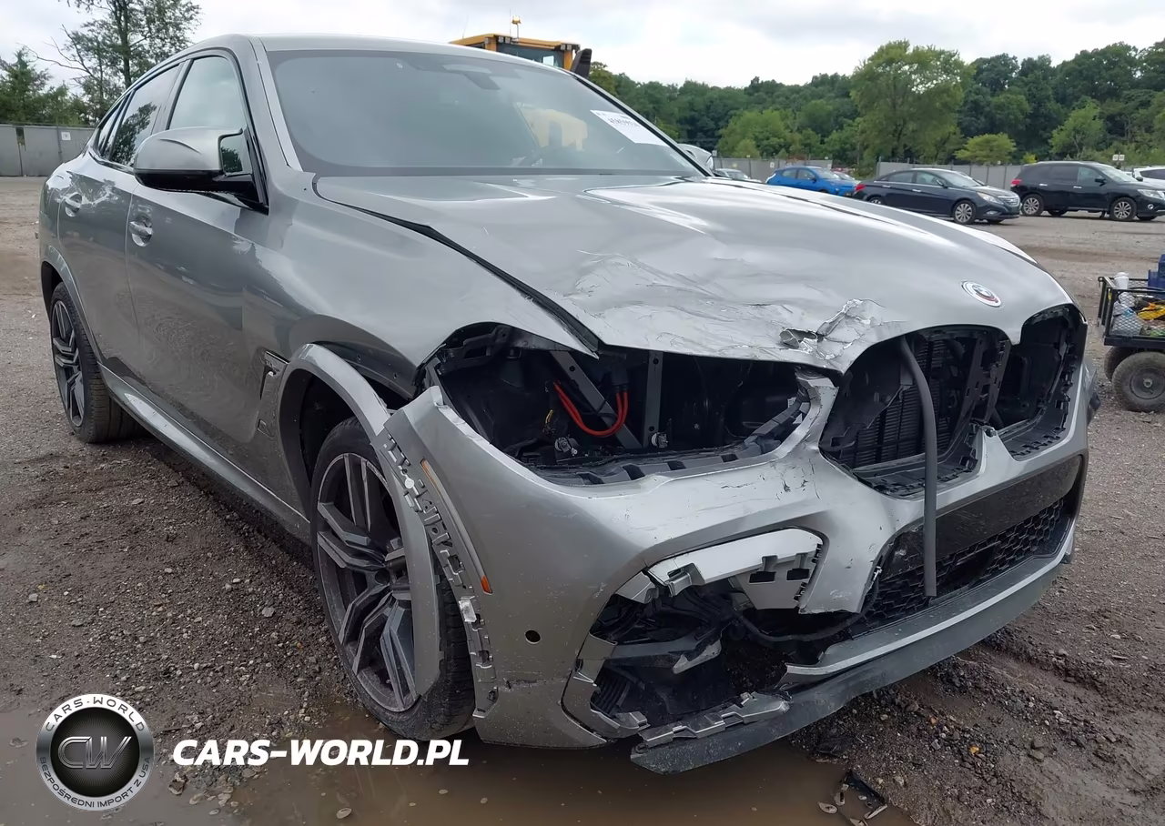 2023 BMW X6 M VIN:5YMCY0C03P9R36144 - 6