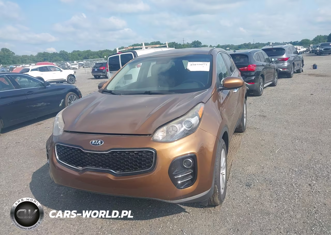 2017 Kia Sportage Lx VIN:KNDPMCAC6H7120708 - 12
