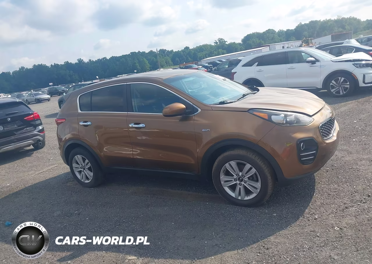 2017 Kia Sportage Lx VIN:KNDPMCAC6H7120708 - 13