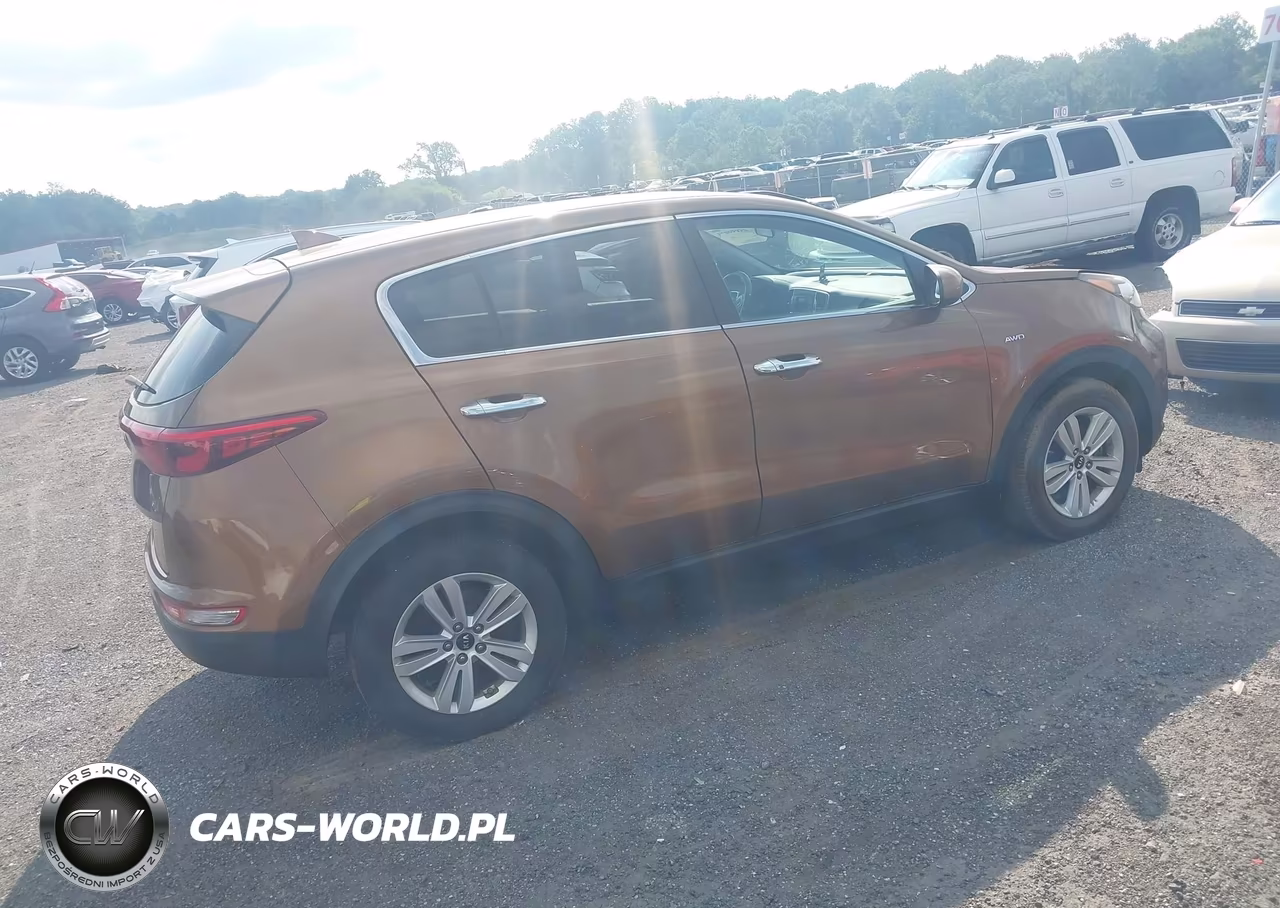 2017 Kia Sportage Lx VIN:KNDPMCAC6H7120708 - 4
