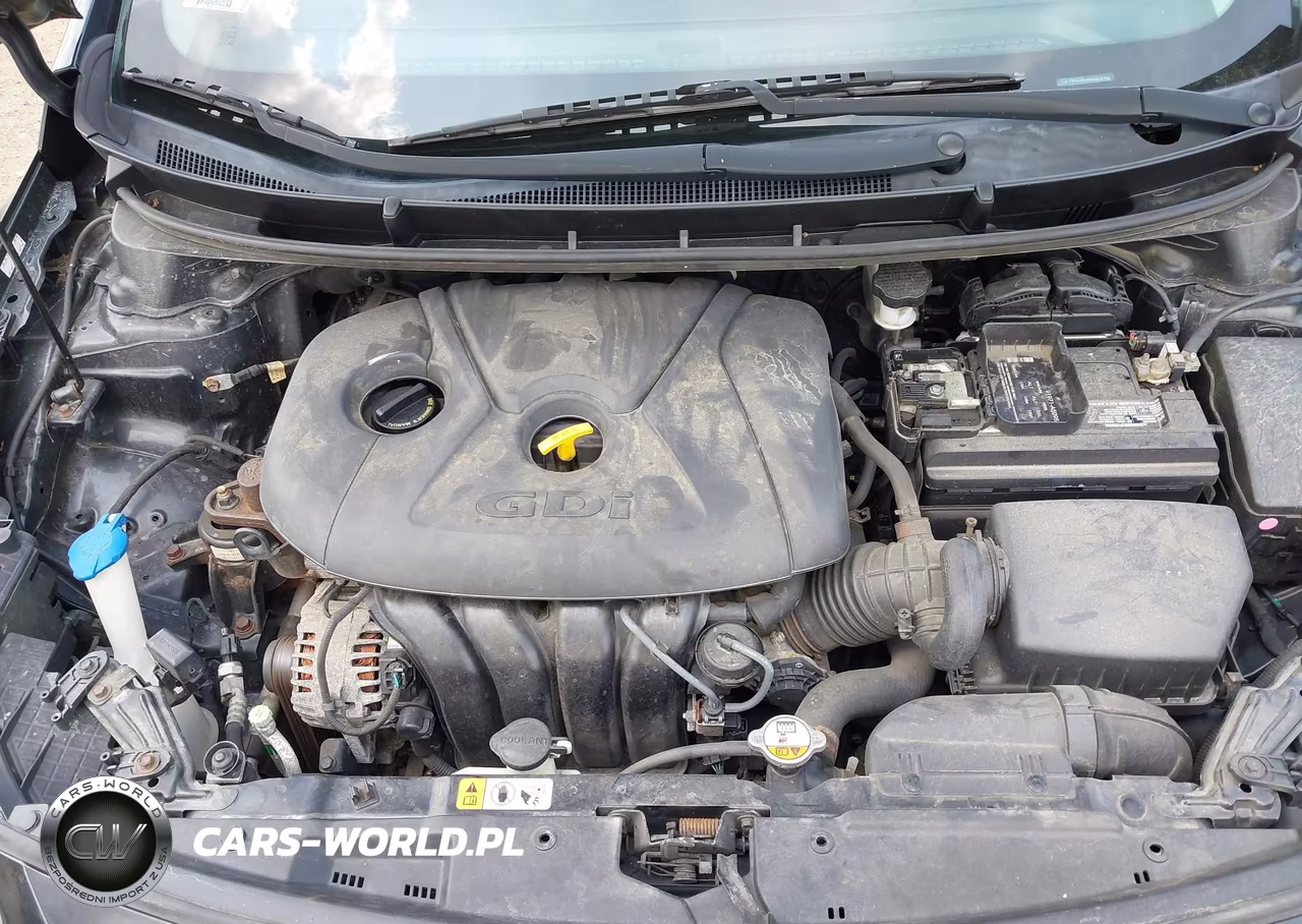 2016 Hyundai Elantra Gt VIN:KMHD35LH4GU329760 - 10