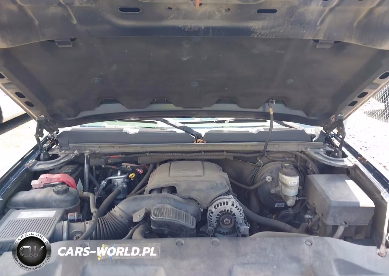 2008 Chevrolet Silverado K1500 VIN:1GCEK19JX8Z127038 - 10
