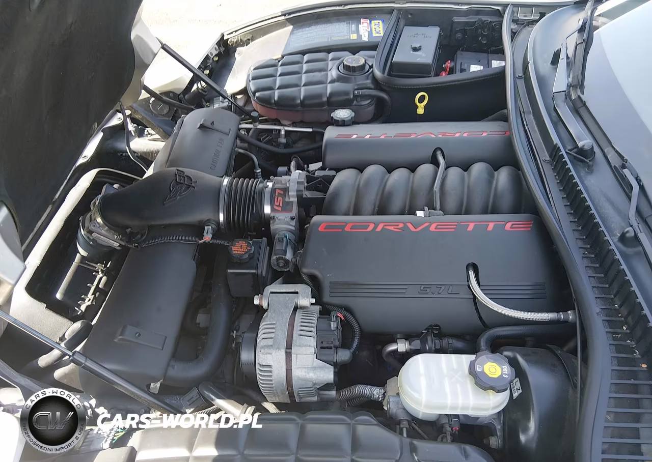 1999 Chevrolet Corvette VIN:1G1YY22G9X5116353 - 10
