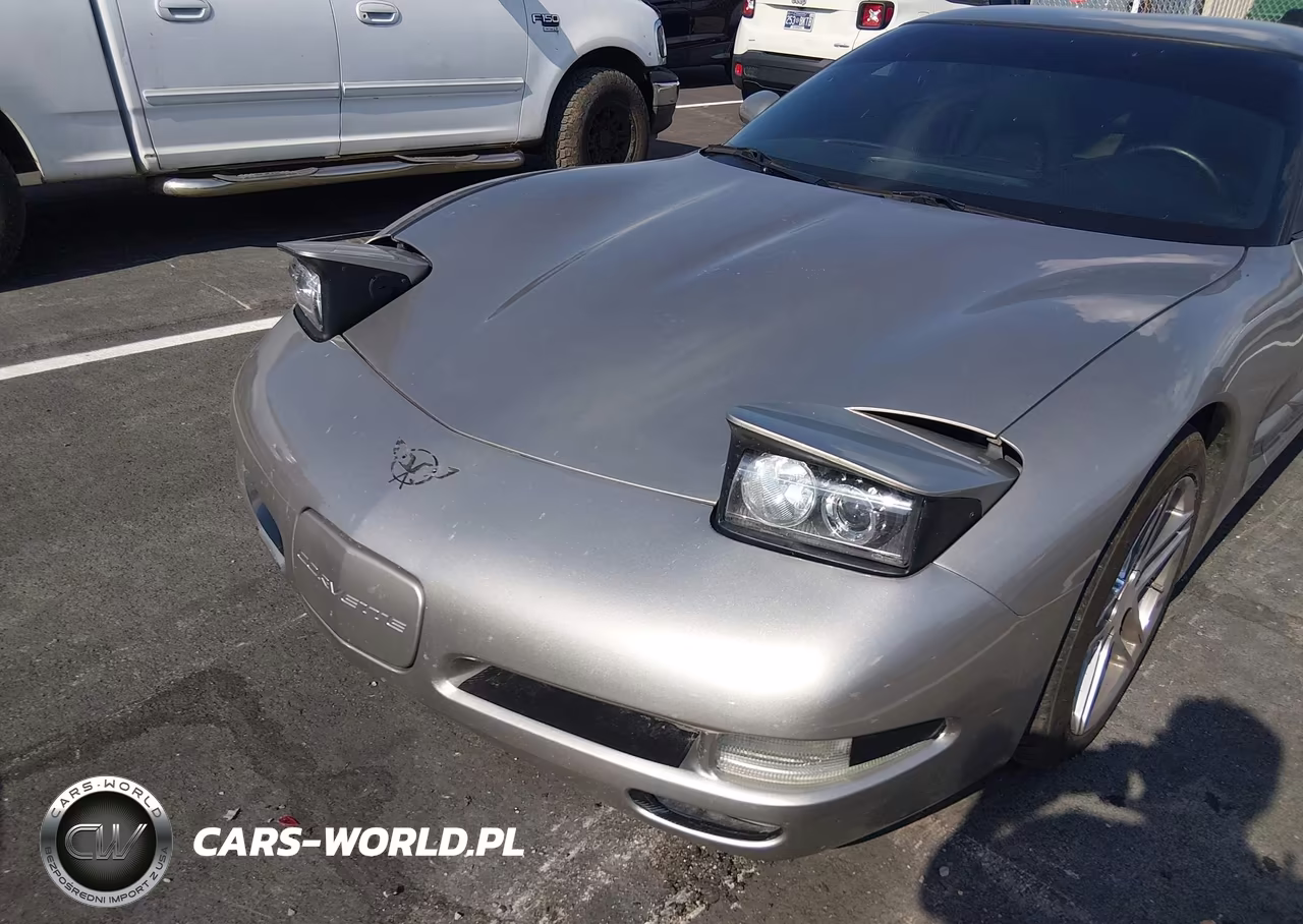1999 Chevrolet Corvette VIN:1G1YY22G9X5116353 - 12