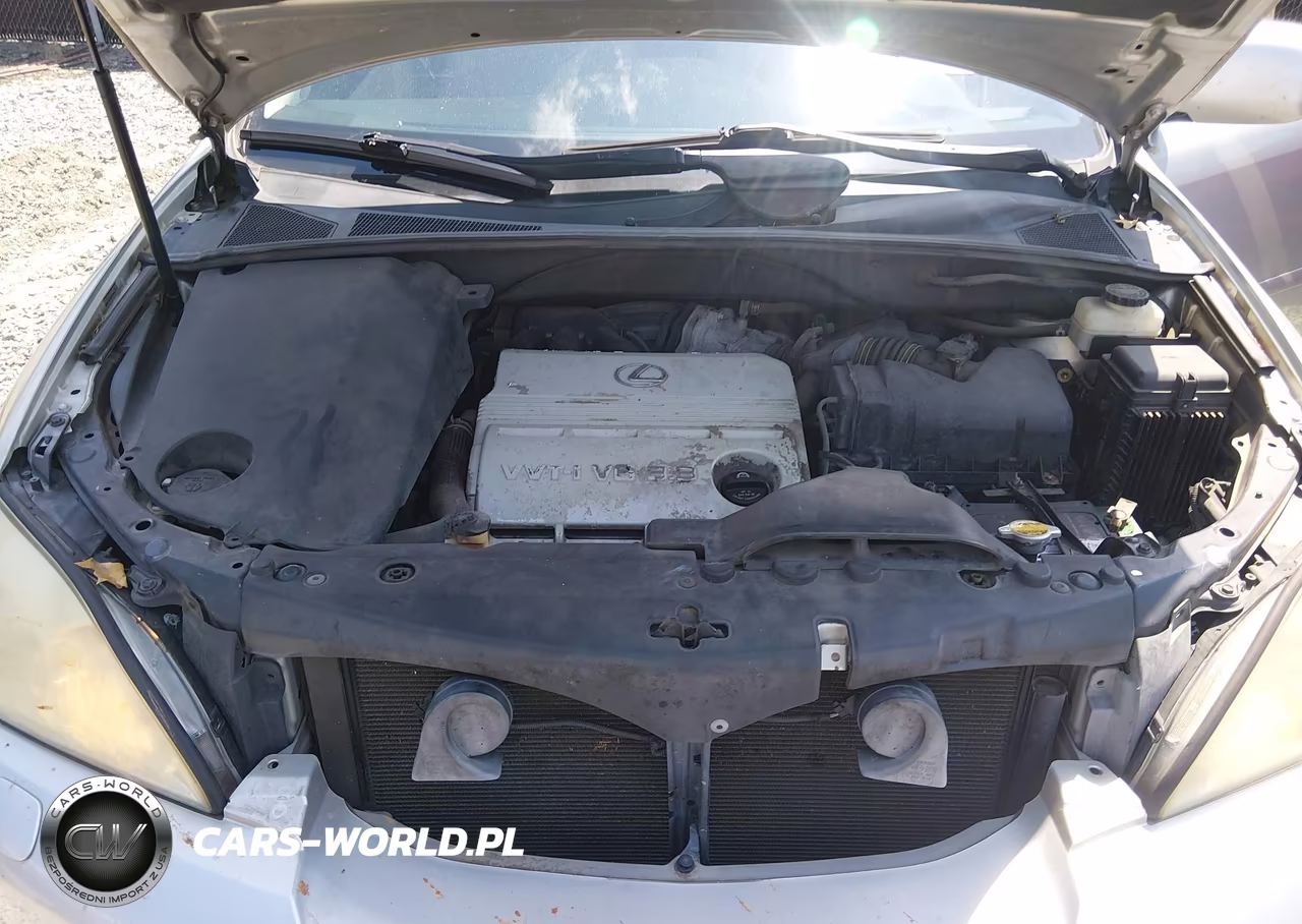 2004 Lexus Rx 330 VIN:2T2GA31U44C007197 - 10