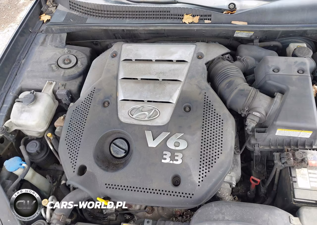 2007 Hyundai Sonata Limited-Limited W-Xm-Se-Se W-Xm VIN:5NPEU46F87H205382 - 10