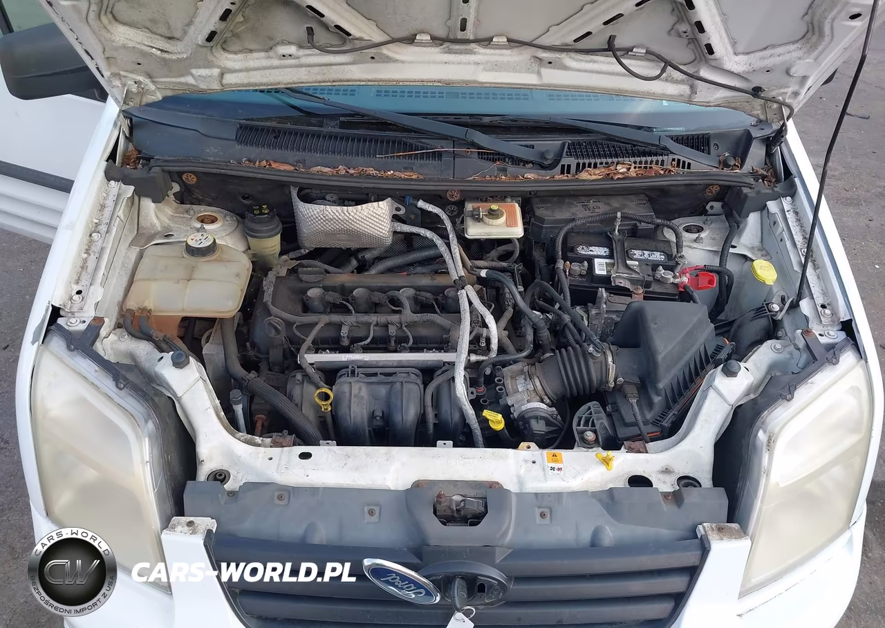 2013 Ford Transit Connect Xlt VIN:NM0LS6BN3DT142959 - 10