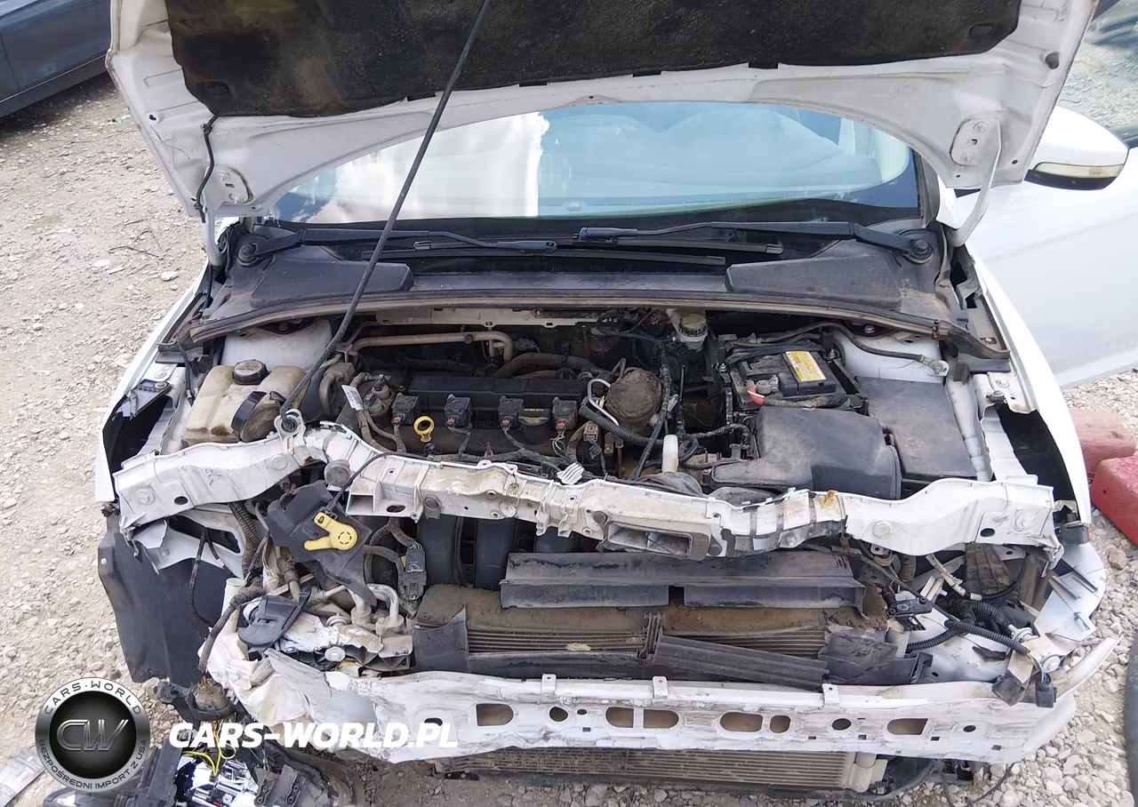 2013 Ford Focus Se VIN:1FADP3K21DL259670 - 10