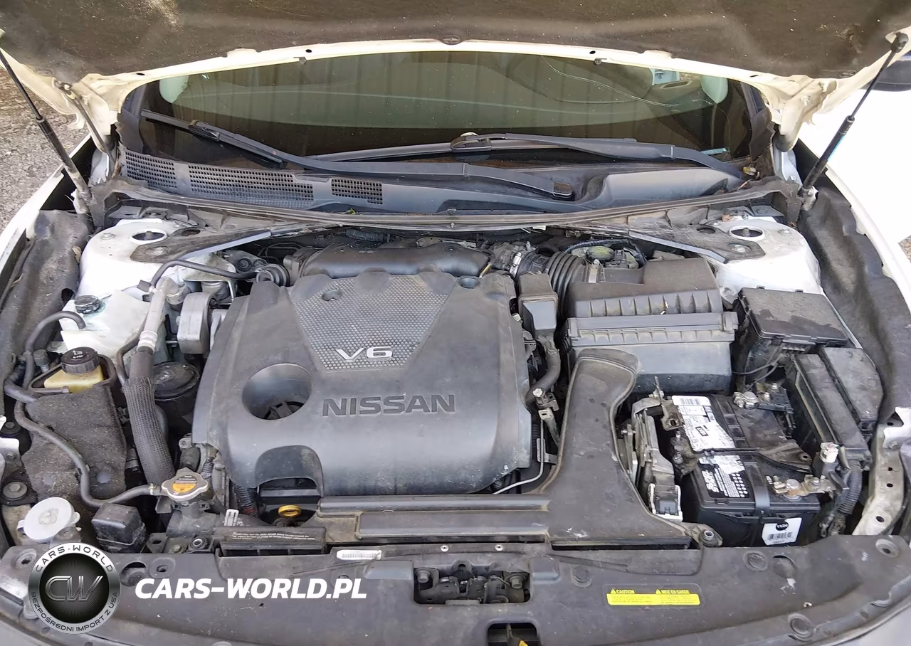 2016 Nissan Maxima 3.5 S VIN:1N4AA6AP1GC405184 - 10