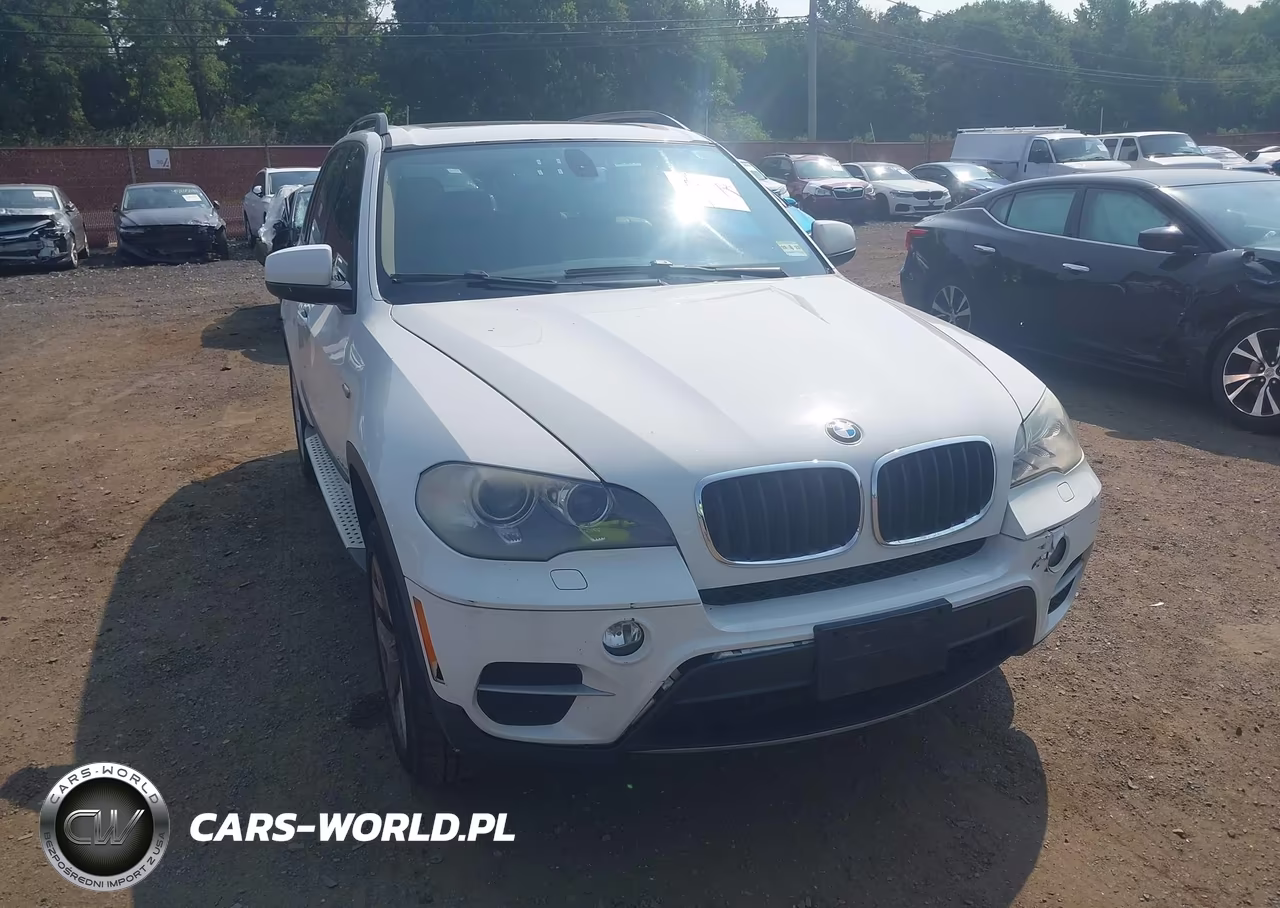 2013 BMW X5 xDrive35I-xDrive35I Premium-xDrive35I Sport Activity VIN:5UXZV4C5XD0B13551 - 12