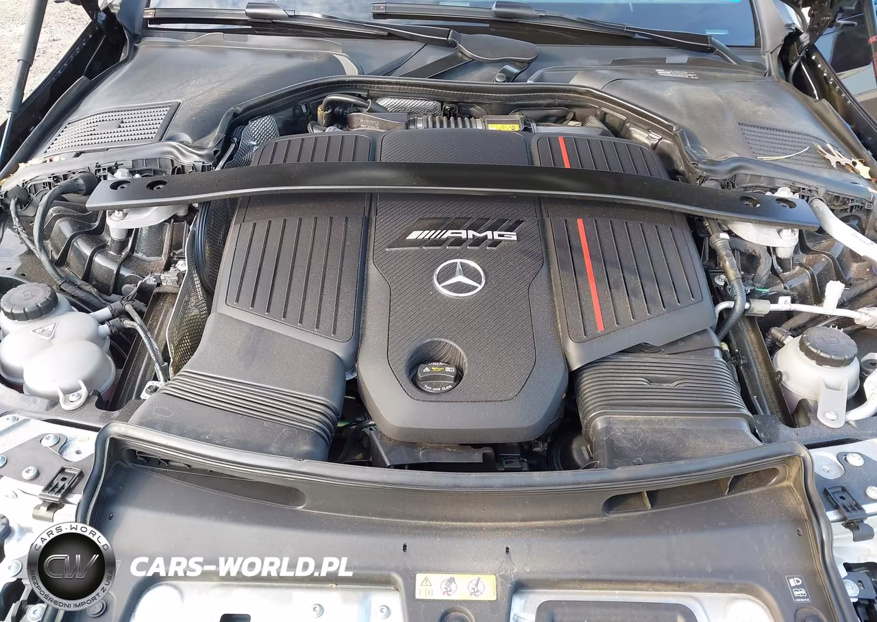 2024 Mercedes-Benz Amg Cle 53 VIN:W1KMJ6CBXRF027446 - 10