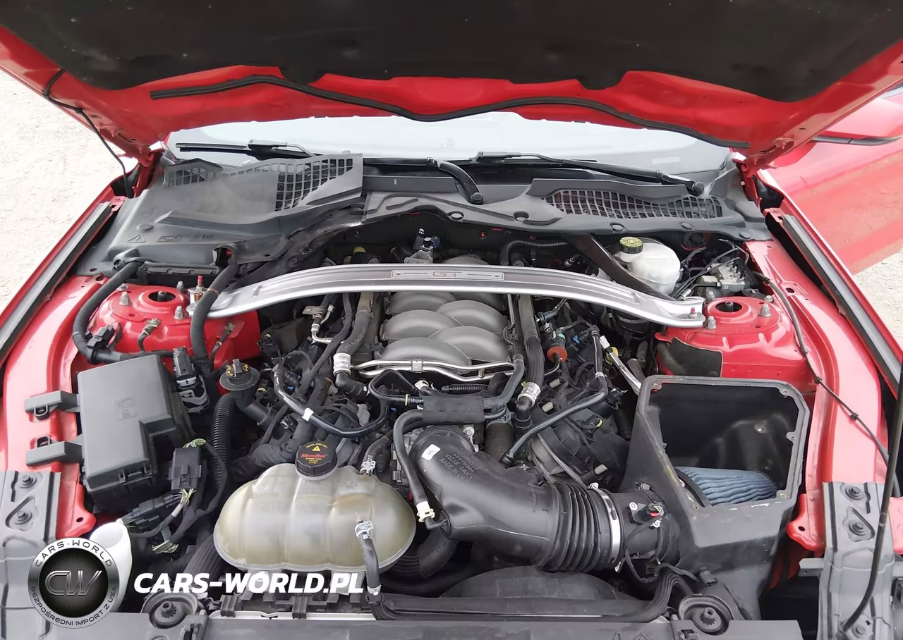 2019 Ford Mustang Gt Premium VIN:1FATP8FF4K5150188 - 10