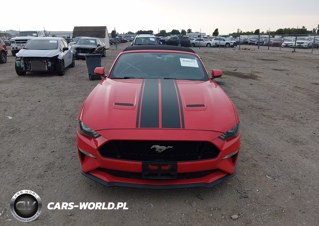 2019 Ford Mustang Gt Premium VIN:1FATP8FF4K5150188 - 12