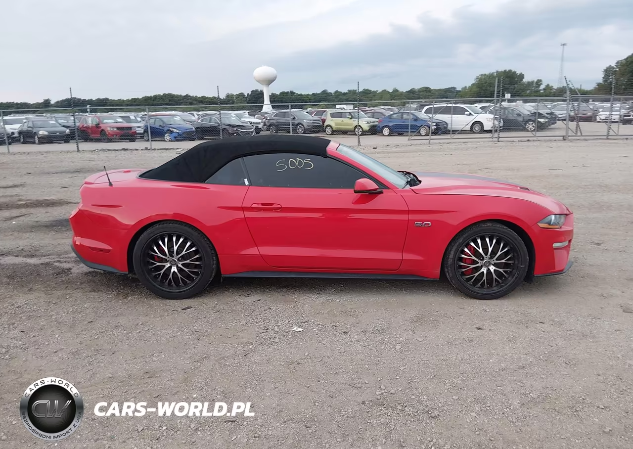 2019 Ford Mustang Gt Premium VIN:1FATP8FF4K5150188 - 13