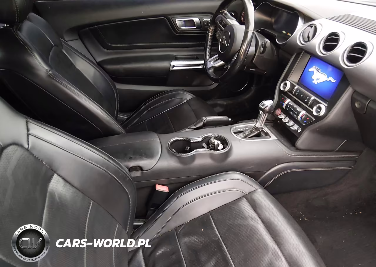 2019 Ford Mustang Gt Premium VIN:1FATP8FF4K5150188 - 5