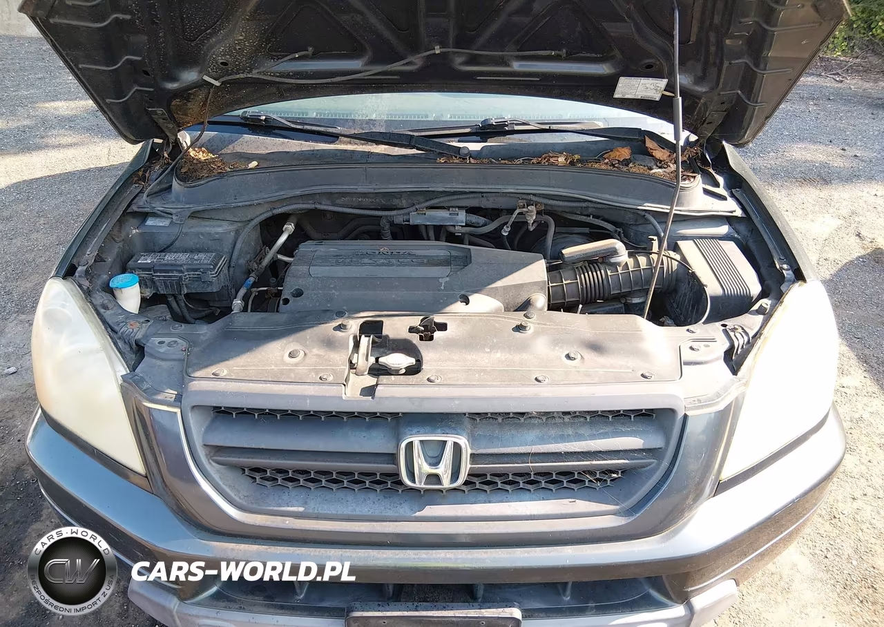 2003 Honda Pilot Ex-L VIN:2HKYF18543H619568 - 10